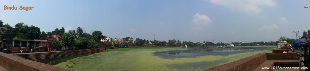 Bindu Sagar