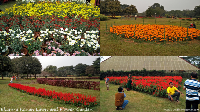 Botanical garden regional plant resource centre bhubaneswar odisha