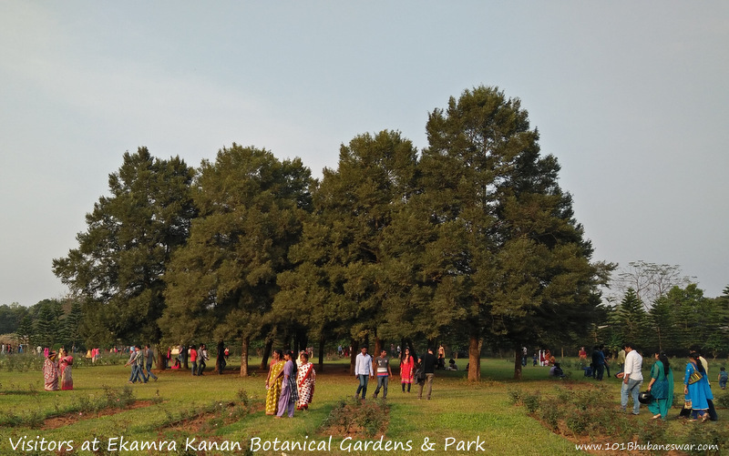 Visitors at Ekamra Kanan Botanical Gardens & Park