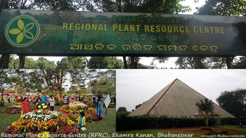 Regional Plant Resource Centre (RPRC), Ekamra Kanan, Bhubaneswar